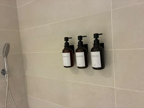 Wall-mounted toiletries above a wiped shower wall in a guest bathroom
